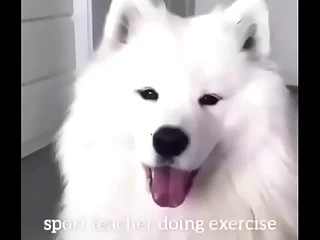 4046 doggy porn videos